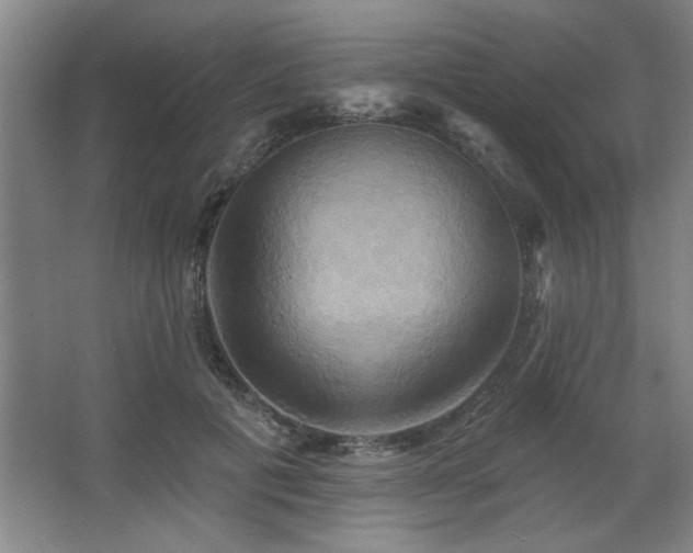 X0000067350601200603311154