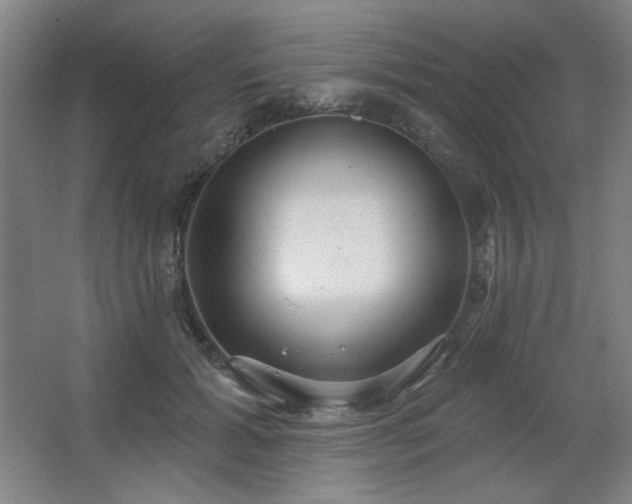 X0000067350605200603311154