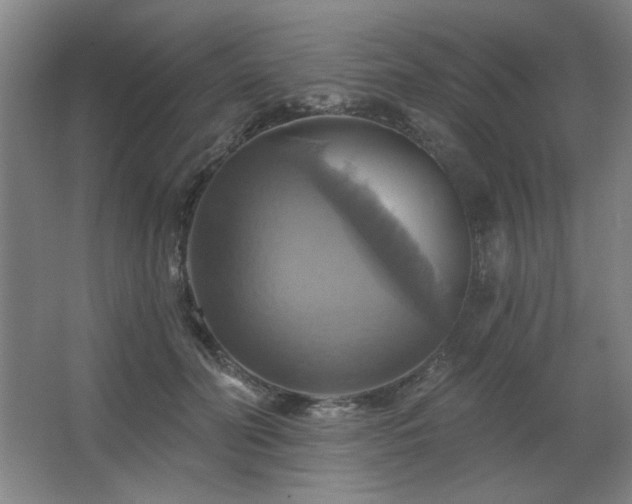 X0000067350606200603311154