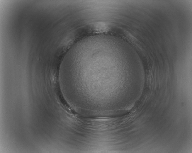 X0000067350608200603311154