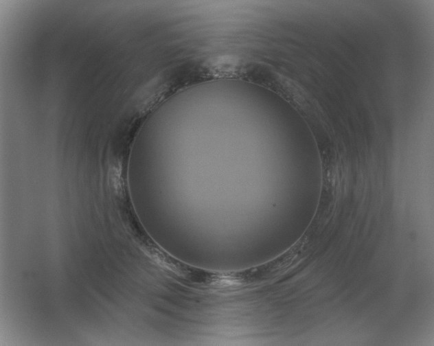 X0000067350610200603311154