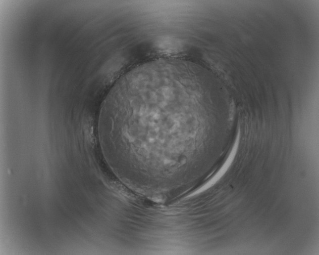 X0000067350615200603311154