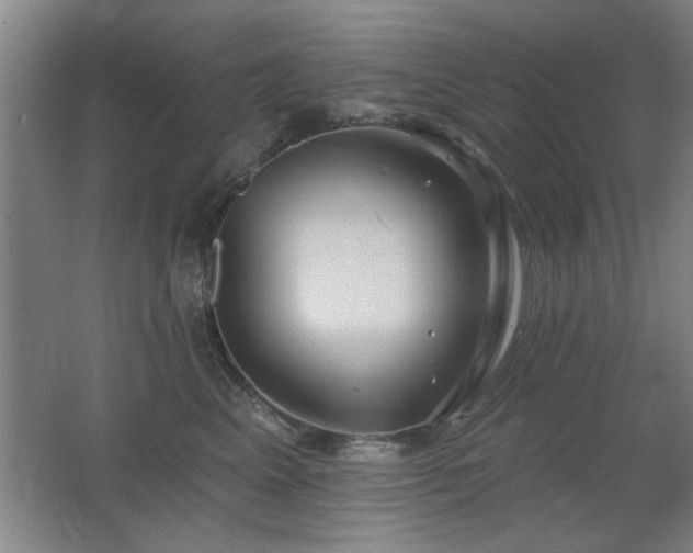 X0000067350617200603311154