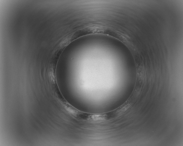 X0000067350622200603311154