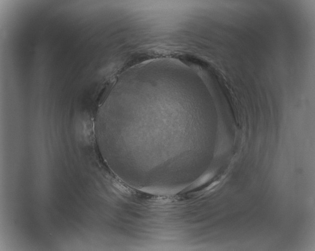 X0000067350624200603311154