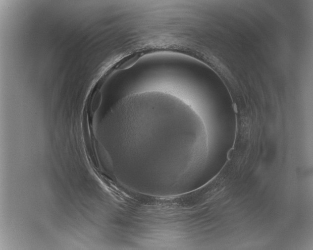 X0000067350626200603311153