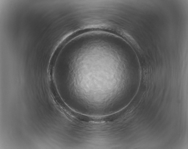 X0000067350628200603311153