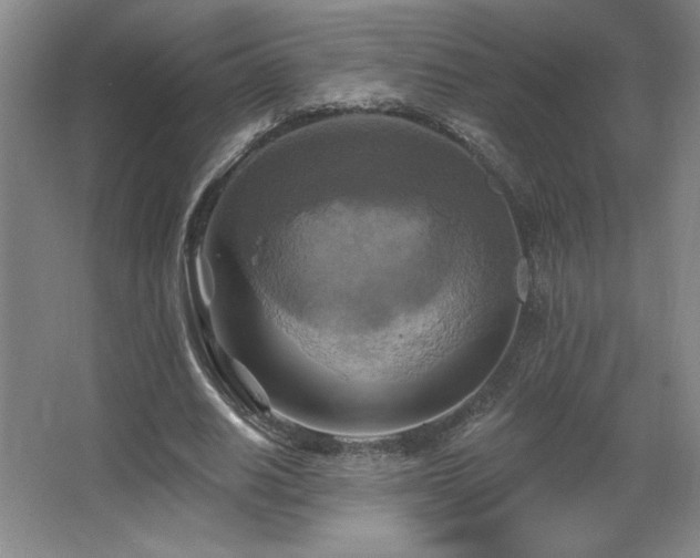 X0000067350630200603311153