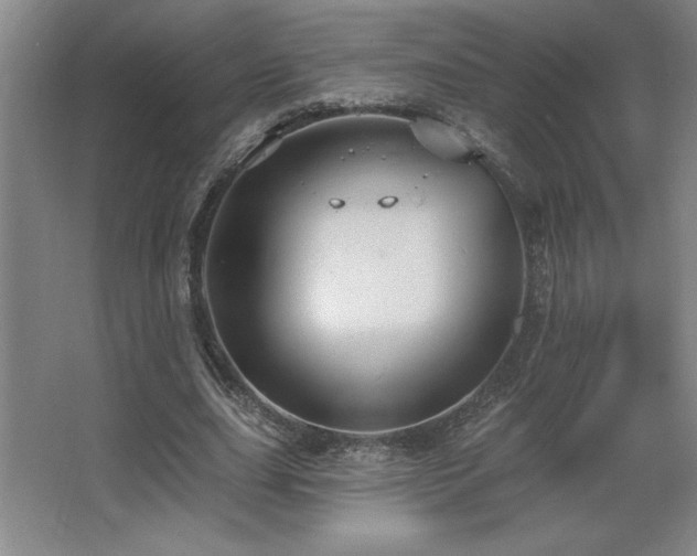 X0000067350631200603311153
