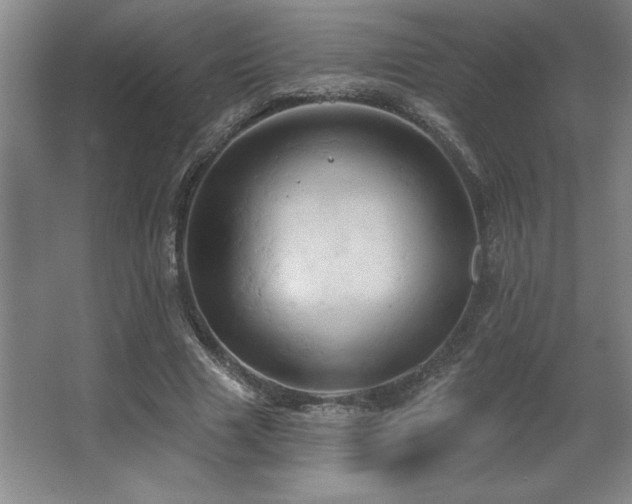 X0000067350633200603311153
