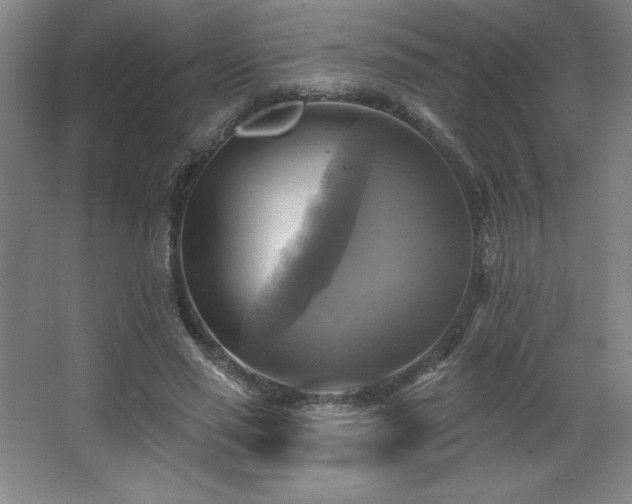 X0000067350637200603311153