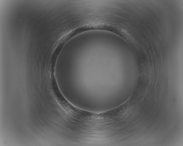 X0000067350640200603311153