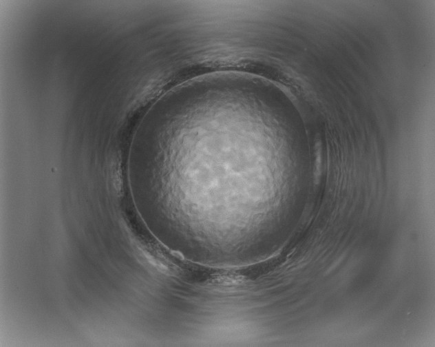 X0000067350642200603311153