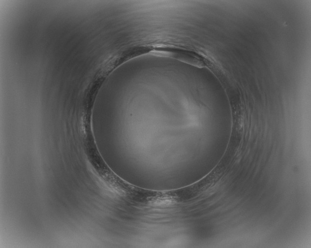 X0000067350643200603311153