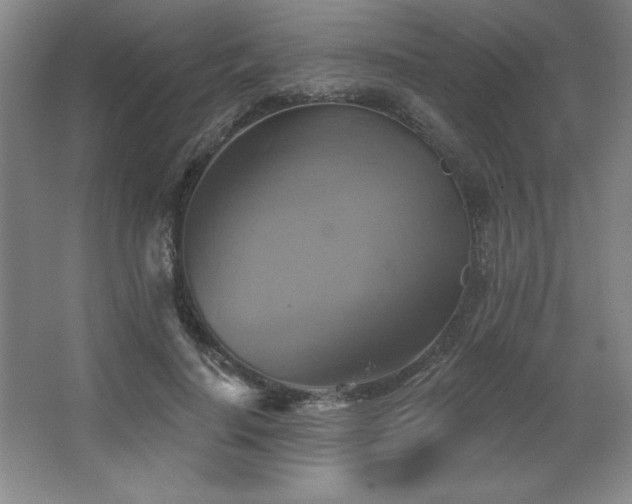 X0000067350644200603311153
