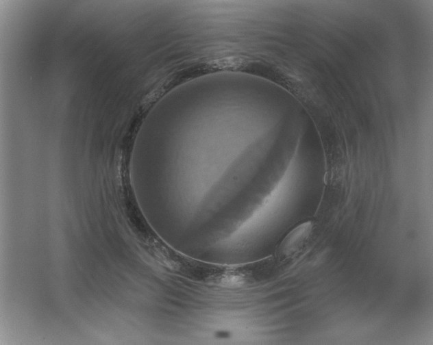 X0000067350647200603311153