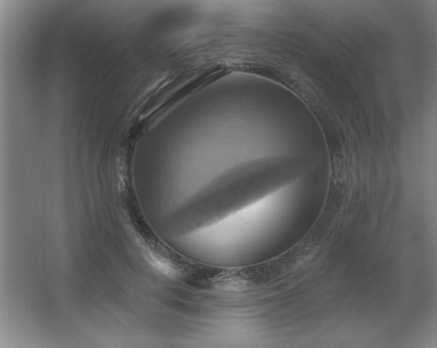 X0000067350648200603311153
