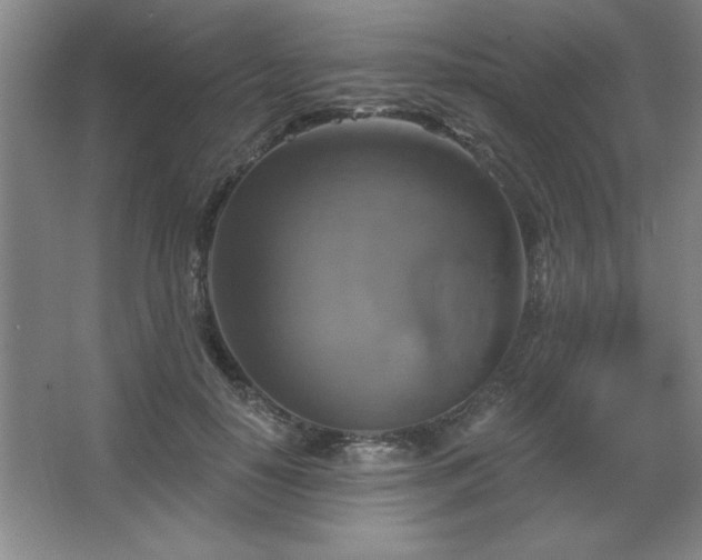 X0000067350650200603311153
