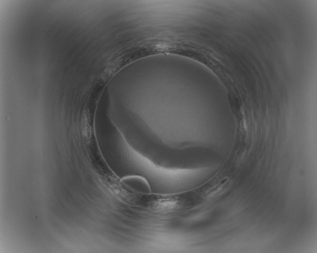 X0000067350651200603311153