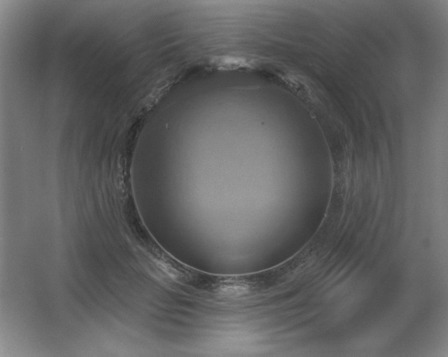 X0000067350653200603311153
