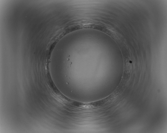 X0000067350654200603311153