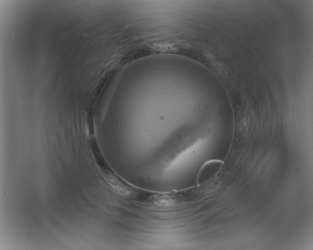 X0000067350658200603311153