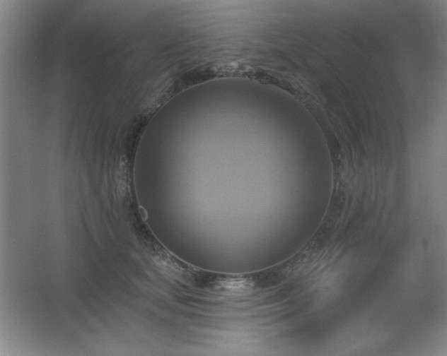 X0000067350659200603311153
