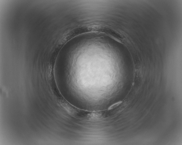 X0000067350660200603311153