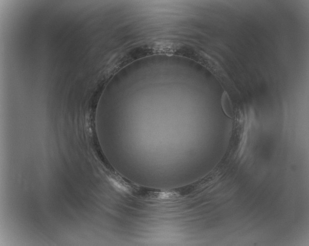 X0000067350663200603311153
