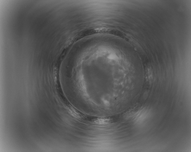 X0000067350664200603311153