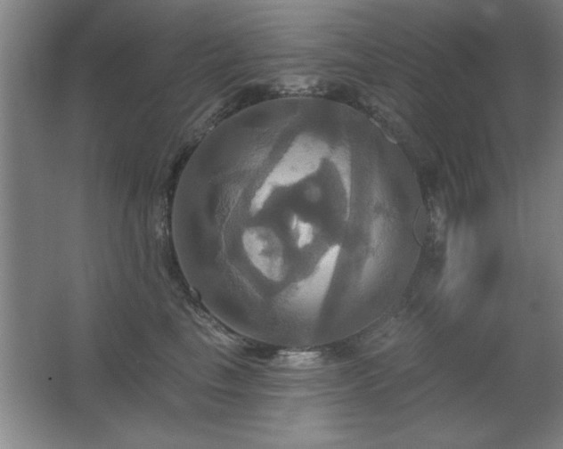 X0000067350665200603311153