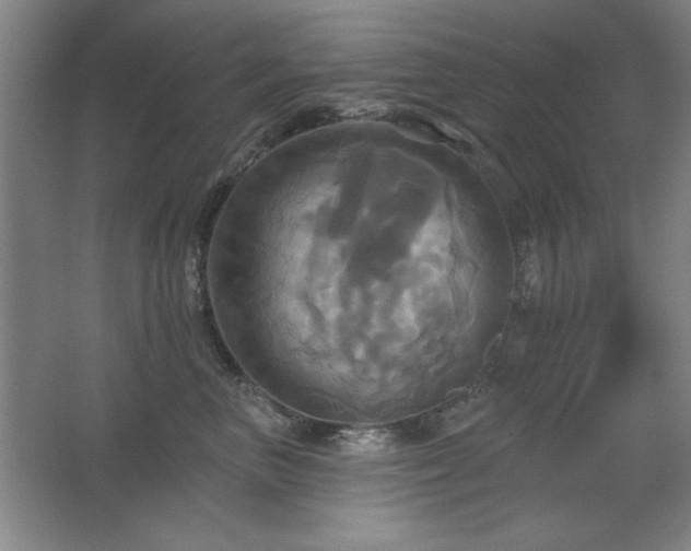 X0000067350667200603311153