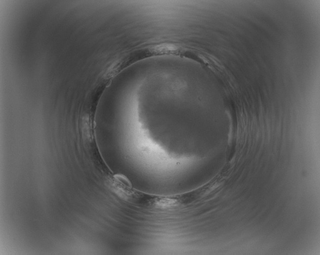 X0000067350669200603311154