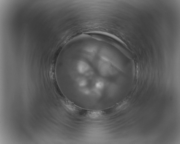 X0000067350671200603311154