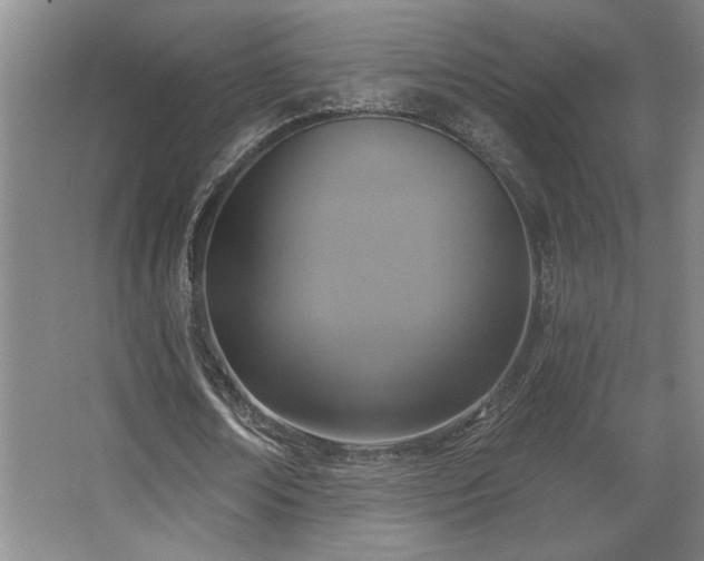 X0000067350674200603311153