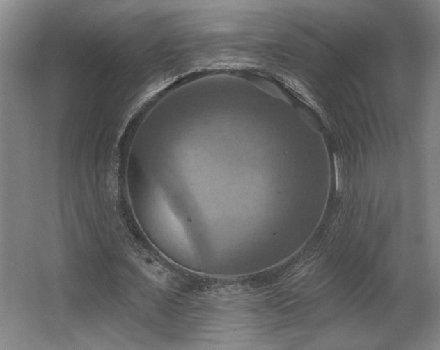 X0000067350675200603311153