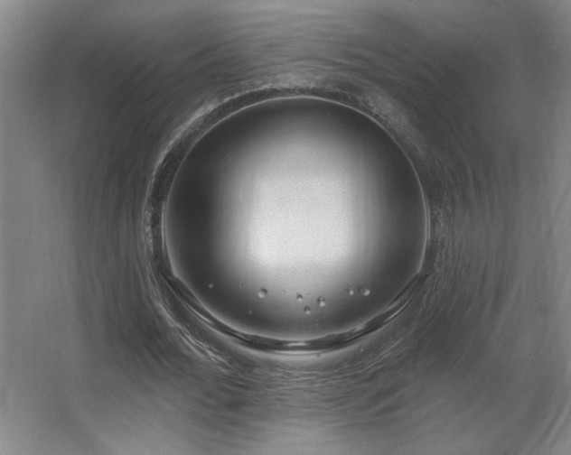 X0000067350676200603311153
