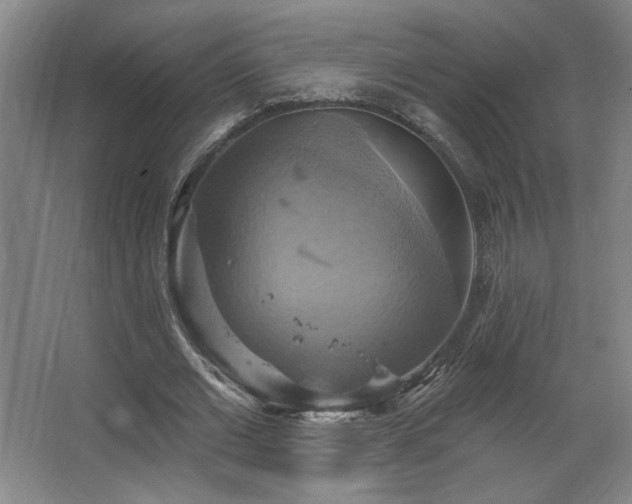 X0000067350677200603311153