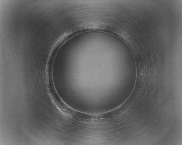 X0000067350678200603311153