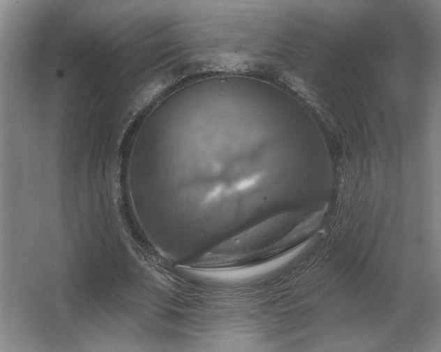 X0000067350679200603311153