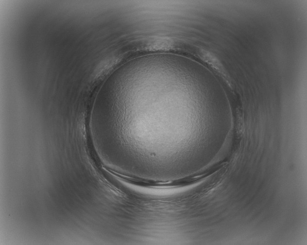 X0000067350681200603311153