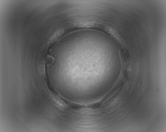 X0000067350685200603311153