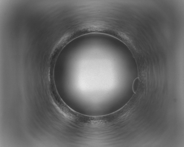 X0000067350686200603311153