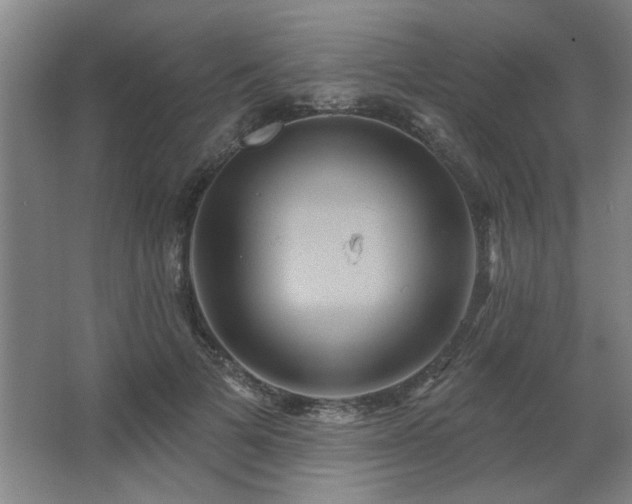 X0000067350697200603311152