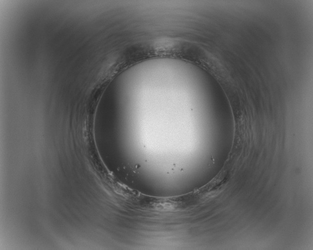 X0000067350698200603311152