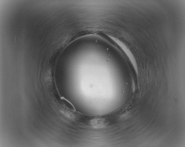 X0000067350700200603311152