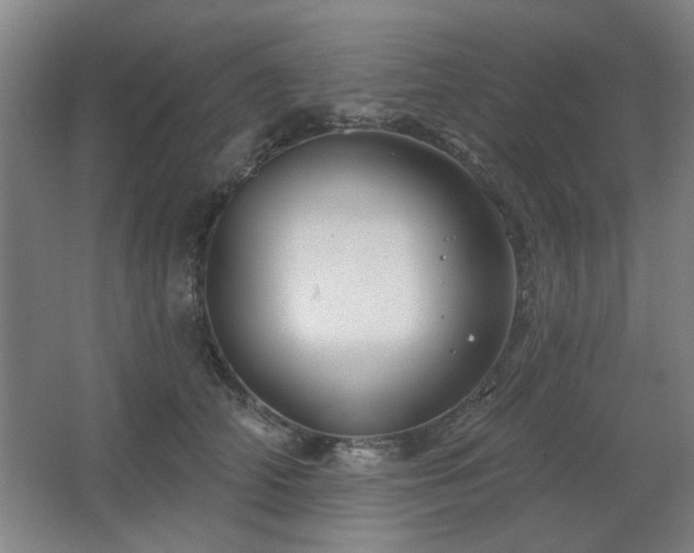 X0000067350706200603311152