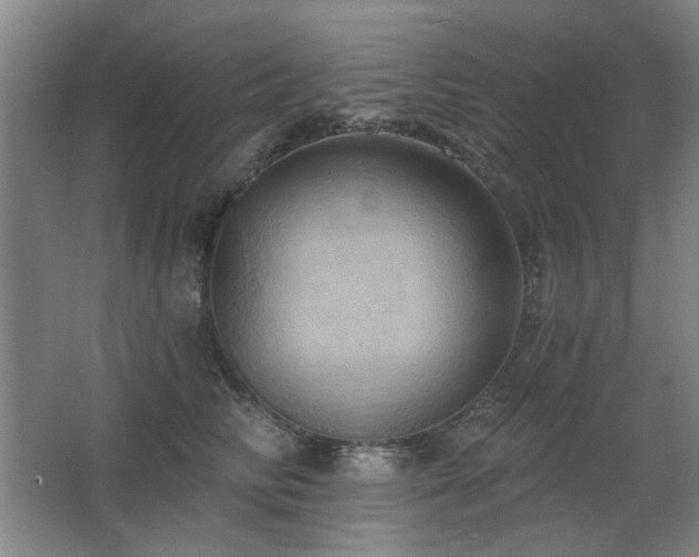X0000067350710200603311152