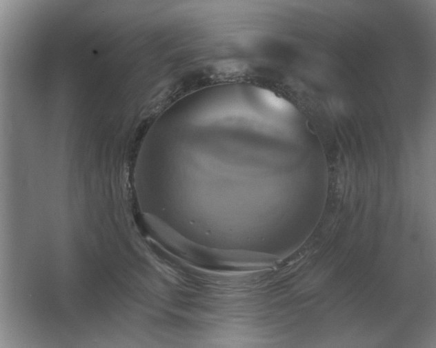 X0000067350711200603311152
