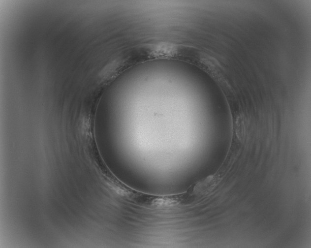 X0000067350714200603311152